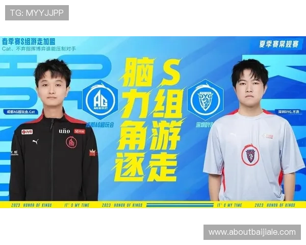 如何顺利完成AG在线登陆操作确保账号安全与游戏体验提升技巧分享